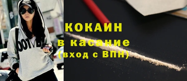 соль ск Пересвет