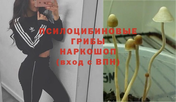 сатива Богданович