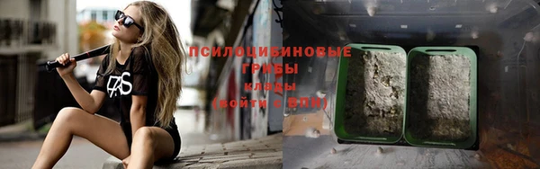 сатива Богданович