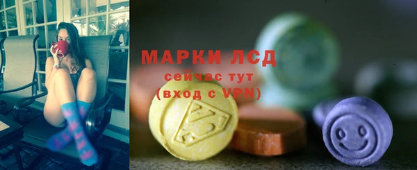 сатива Богданович