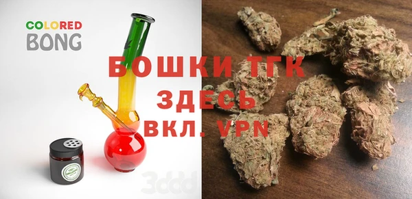 шишки Пестово