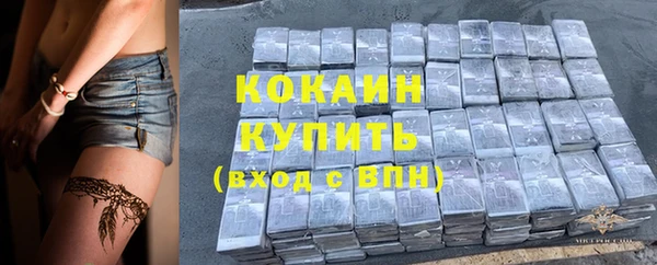 сатива Богданович