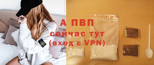 сатива Богданович