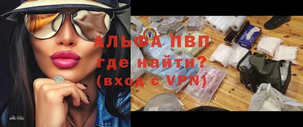 сатива Богданович